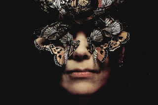 Alexander McQueen Dazed Digital Butterfly Katy England