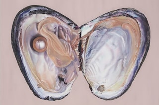 Fawn Rogers, Boil, Toil and Trouble, Photo Credit_