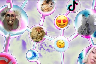 Language is absurd Dazed