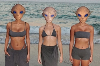 Skims Harmony Korine