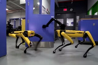 Boston Dynamics robot dog, Spot