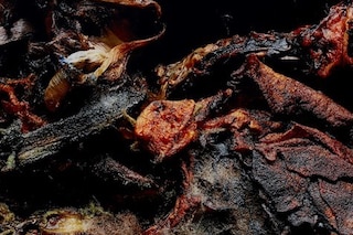 Willy Vanderperre hurt burn ruin and more 2020