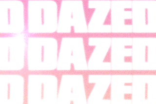 Chanel Chanellington Twitter meme parrot