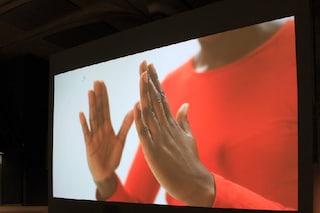 Karen Mirza &amp; Brad Butler, &#39;Hold Your Ground&#39;, 201