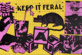 Feral club rat