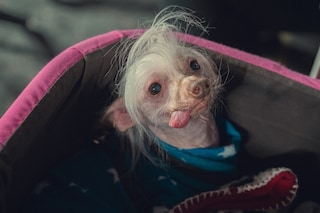 TooMuch_FirstLook_Image_5