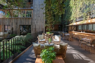 AH Mandrake Terrace 4 copy