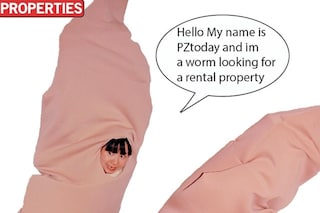 PZ Today Properties worm rental housing market