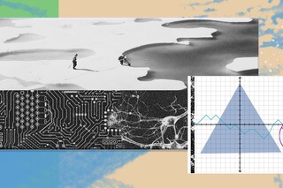 Illustration Marianne Wilson