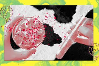 A Future World, cultured meat