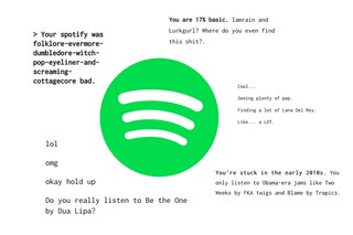 Spotify roast