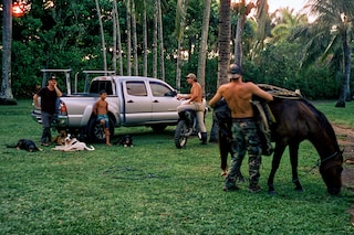 Island Time, Vivian Kim (2022)