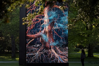 Of the Oak, Marshmallow Laser Feast, Kew Gardens