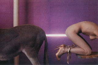 Sal&#242;, Issue 81, Alexander Mcqueen, Dazed and Confused