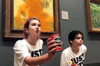 Just Stop Oil throw soup on Van Gogh Sunflowers