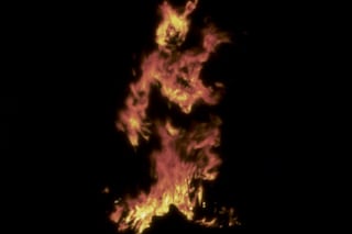 Ana Mendieta 