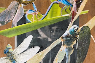 Kandis Williams, Art Basel Paris (2025), Heidi, Berlin