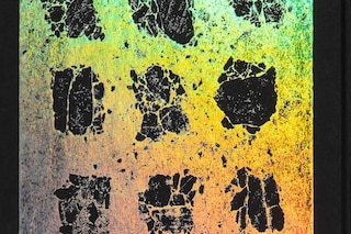 Alteronce Gumby, Colour Is a Beautiful Thing (2021)