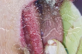 Mimosa Echard, Bisoufleur (2019)