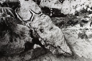 Ana Mendieta’s La Tierra Habla (The Earth Speaks)