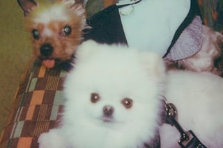 KaidenFord_Polaroids_March2026 8