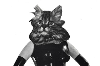 penny-slinger-puss-in-boots.jpg