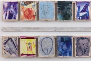 Carolee_Schneemann_Vulva_s_Morphia__1995_6_high_qu