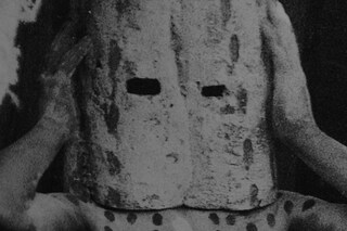 Silphium film still, 2014