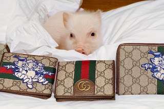 gucci year of the pig alessandro michele frank lebon 