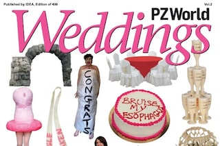 PZWorld Wedding 