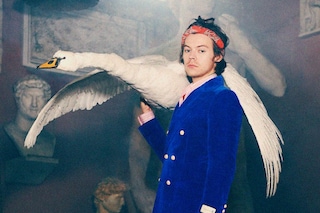 gucci pre fall harry styles harmony korine campaign 