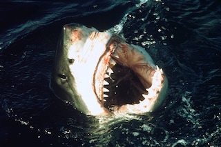 GettyImages-157874515