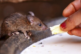 GettyImages-1251909801