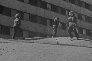Silphium film still, 2014
