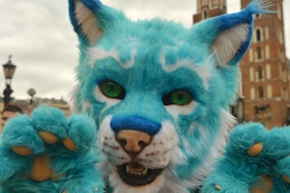 Furries