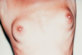 Sex Parts and Torsos (1977) - Andy Warhol 