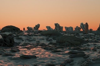 Jos&#232;fa Ntjam, Swell of Sp&#230;c(i)es (2024)