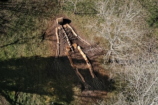 Ingela Ihrman, First Came the Landscape (2023)