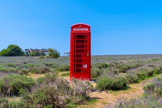 “Mayfields”, Telephone Booths (2020-ongoing), Samuel Ryde 