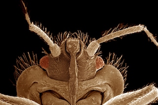 GettyImages-530019917