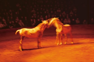 Nan Goldin, “Horse Circus, Paris” (2004)