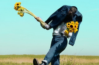 Gino Anthonisse, Pollenator