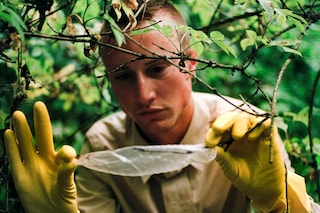 Cruising Archaeology II: Eurotrash