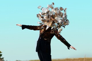 Gino Anthonisse, Dandelion 