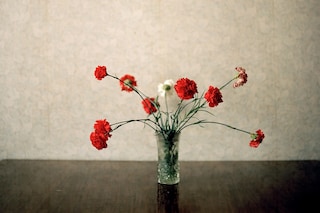 Returning Home - Abkhazia, 2010 &#169;Ivor Prickett