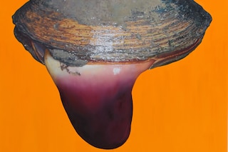 Fawn Rogers, “Happy As A Clam #1” (2021)