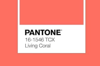 46160645_1274135896060349_356763727339739638_n