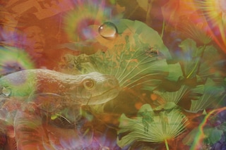 Nicoletti, Art Basel Miami Beach 2025