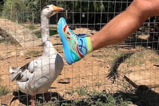Kiko Kostadinov x Asics