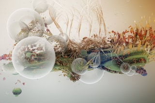 Bjork Illustrations Digital Art